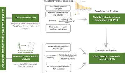 Bilirubin and postpartum depression: an observational and Mendelian randomization study